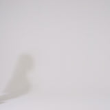 SECRET TOTE BAG IN CACHEMIRE LEATHER AND MOSAICO