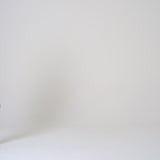 CAMERA CROSSBODY BAG IN STEPAN
