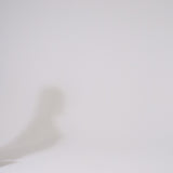 SMALL SECRET TOTE BAG IN CACHEMIRE LEATHER AND MOSAICO